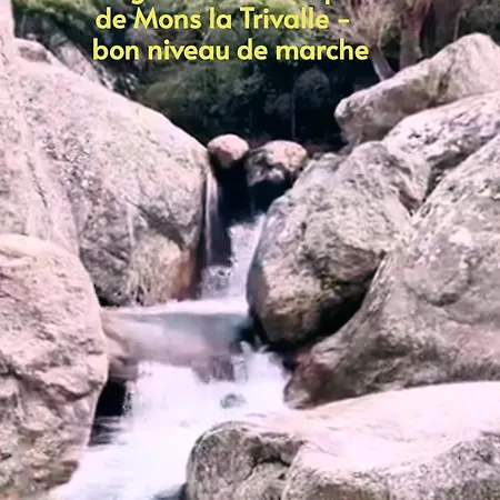 L'eau Vive 6 Pers Parc 3000m2 A 50 M De La Riviere Fraisse-sur-Agout