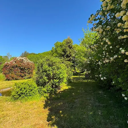Villa L'eau Vive 6 Pers Parc 3000m2 A 50 M De La Riviere Fraisse-sur-Agout